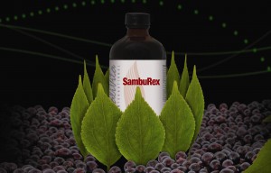 samburex-odporność-grypa-naturalny